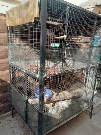 Iron Birds Cage