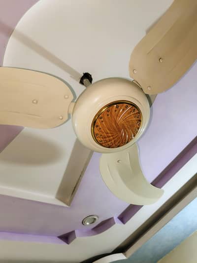 GFC Ceiling Fan