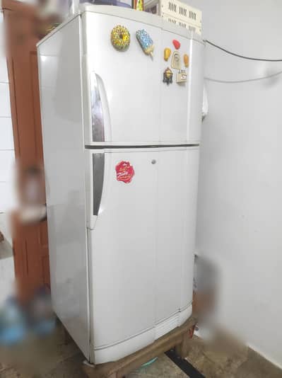 PEL Refrigerator