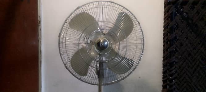 Royal Padistal fan