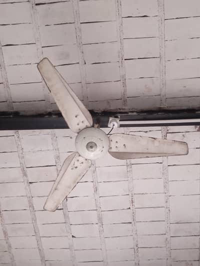 2 celling fan for sale.