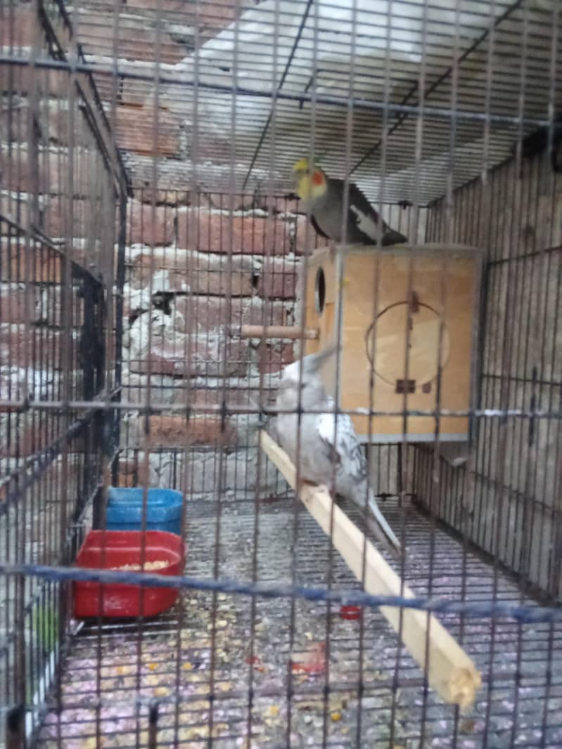 full active pair 0