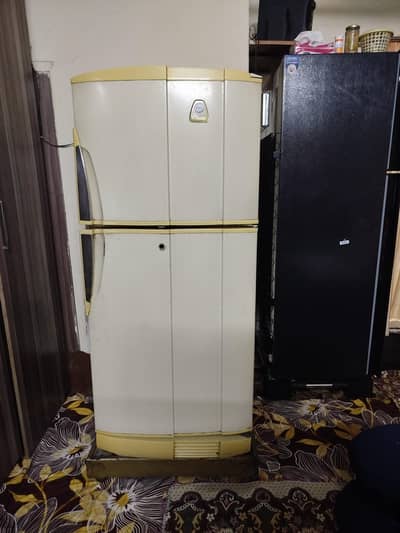 PEL Medium Size Refrigerator