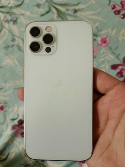 Iphone 12 pro