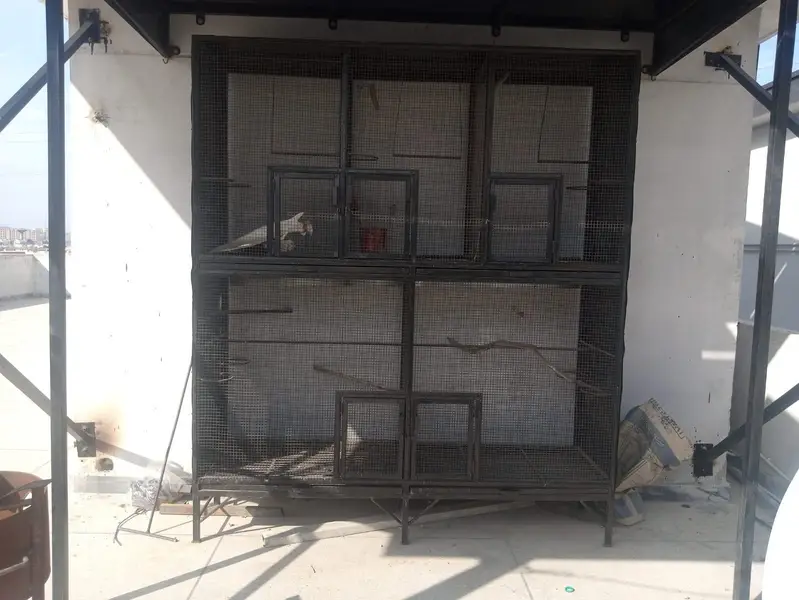 CAGE FOR HENS AND BIRDS FOR SALE!!