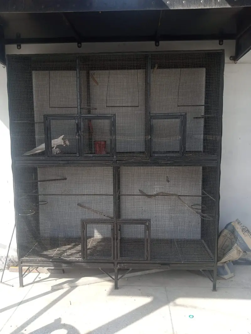CAGE FOR HENS AND BIRDS FOR SALE!! — photo 3