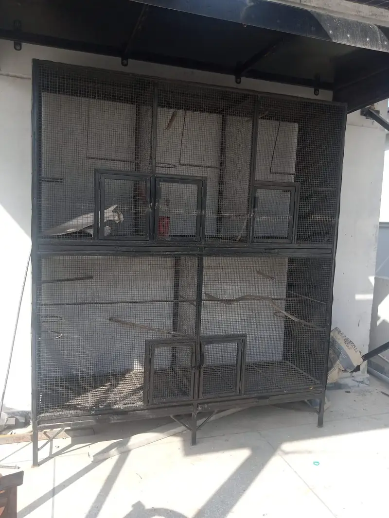 CAGE FOR HENS AND BIRDS FOR SALE!! — photo 4
