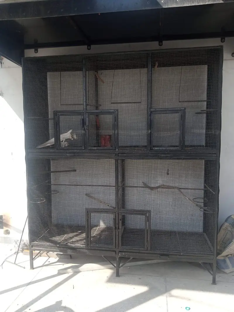 CAGE FOR HENS AND BIRDS FOR SALE!! — photo 6