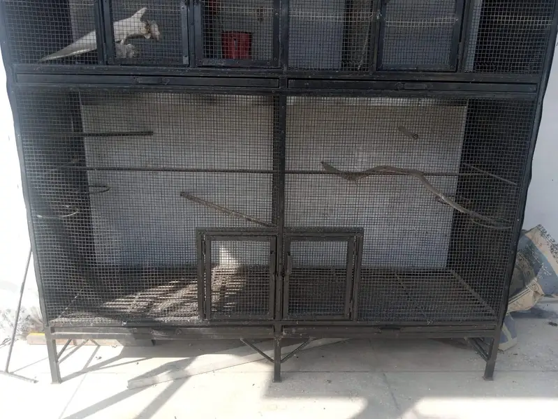 CAGE FOR HENS AND BIRDS FOR SALE!! — photo 8