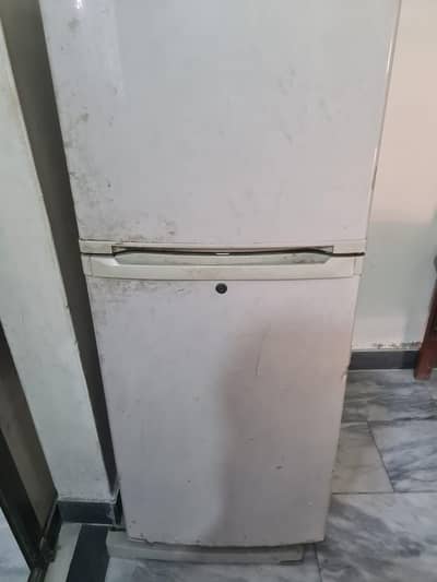 Medium good condition Orint