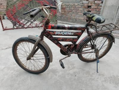 cycle phoniex