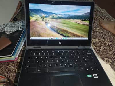 hp Chromebook