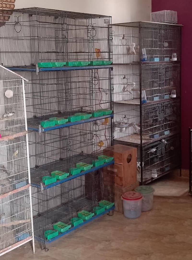 master cage 0