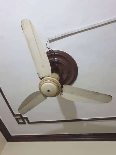 Four Fans For Sale.