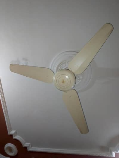 Afsar Ceiling fan