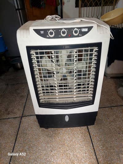 I-zoon room coloor for sale