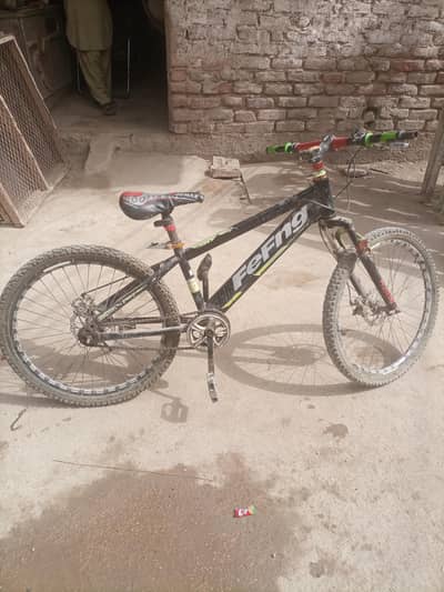 sport cycle