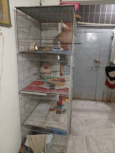 4 portion cage for sale good condition contact 03343611266