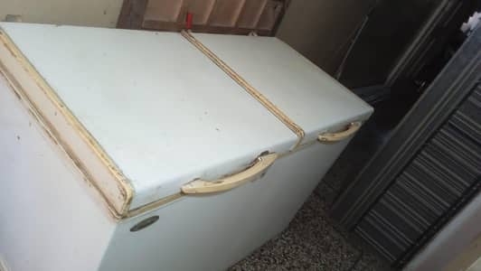 Waves double door deep freezer