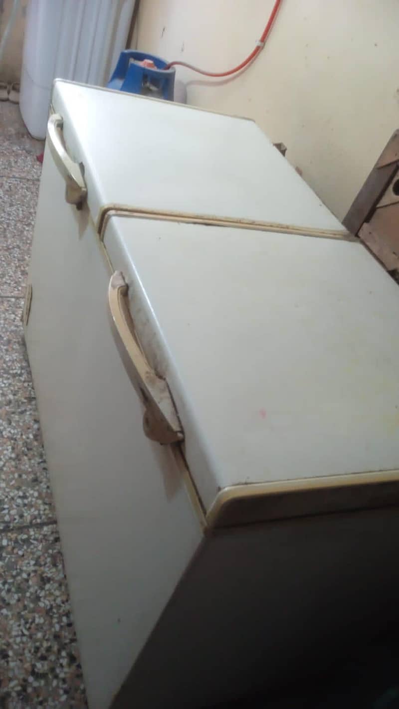 Waves double door deep freezer 1
