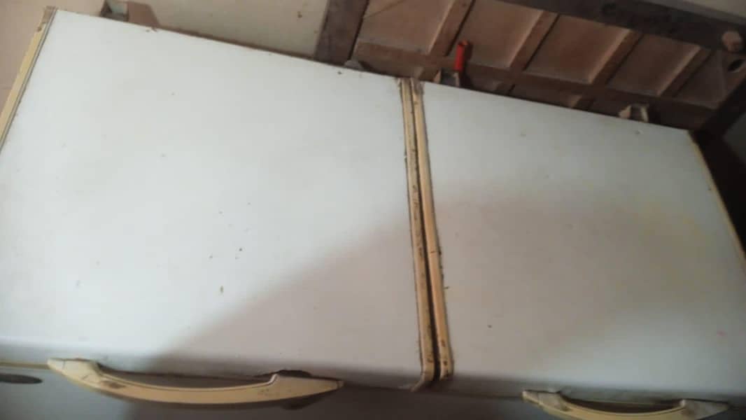 Waves double door deep freezer 2