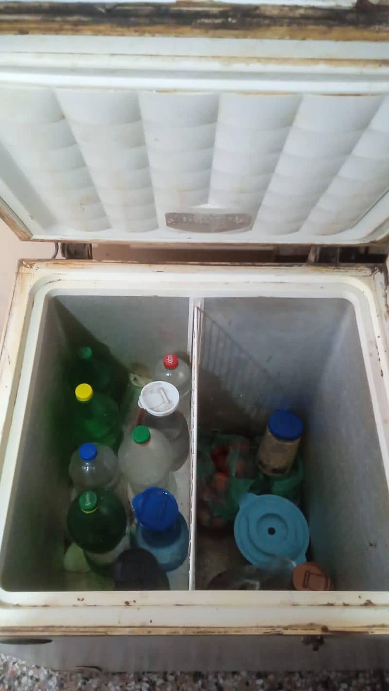 Waves double door deep freezer 3