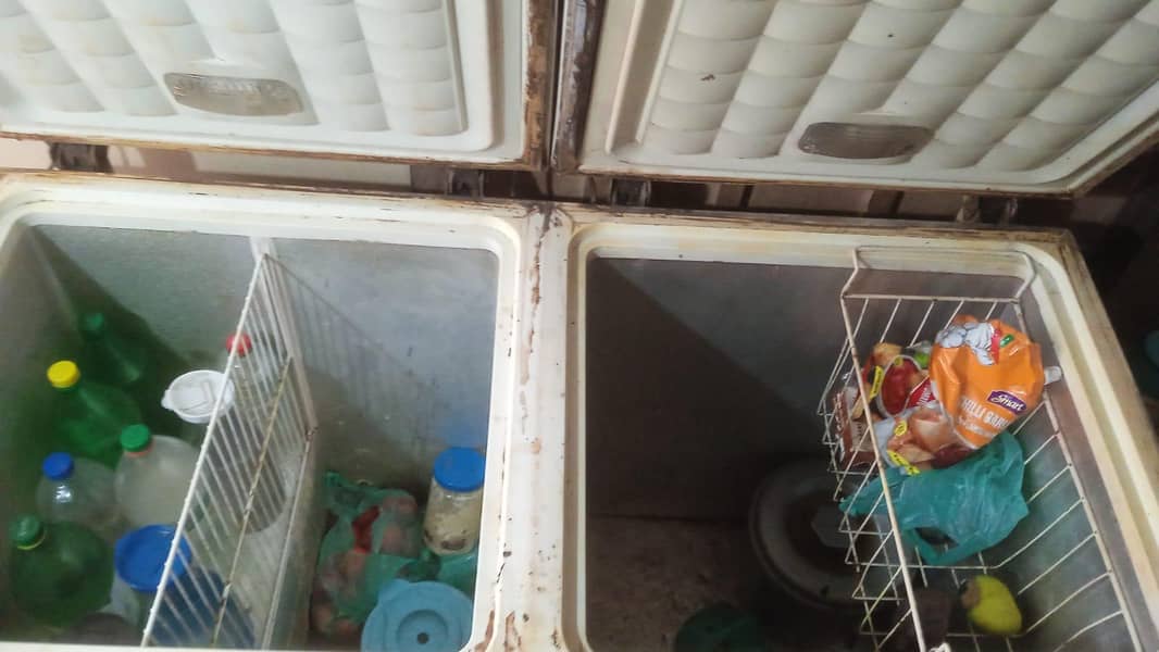 Waves double door deep freezer 4
