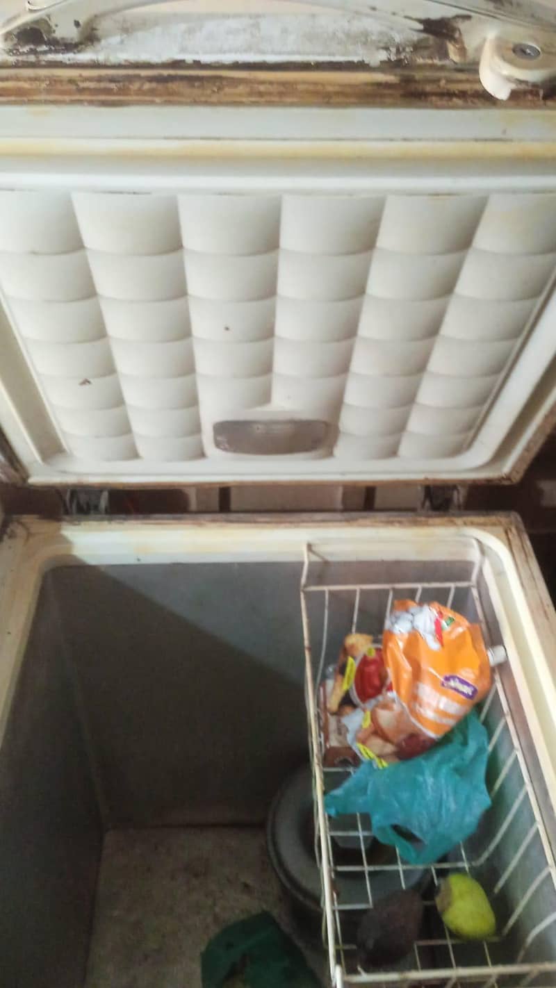 Waves double door deep freezer 5
