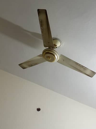 cooper celling fan for sale like a new good condition
