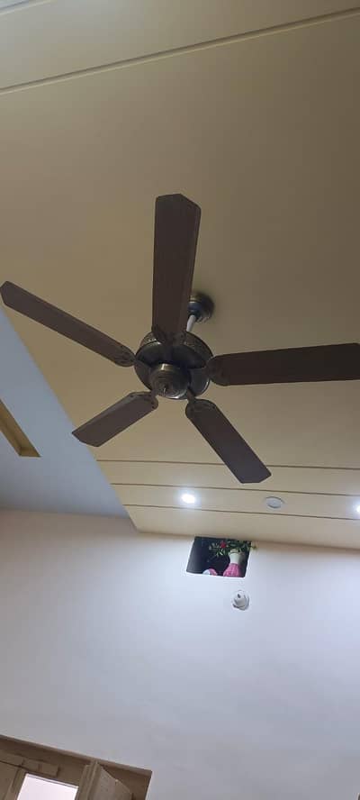 ceiling fan