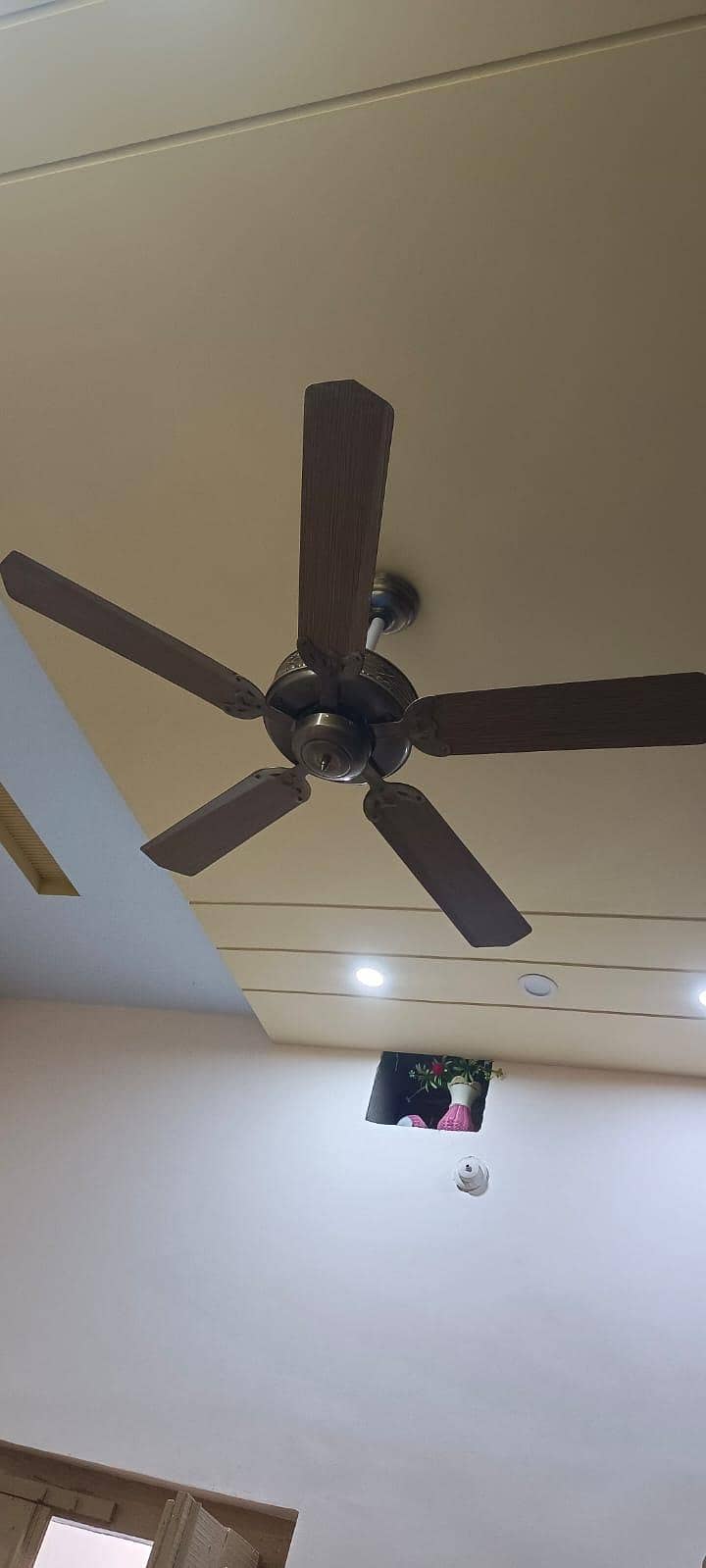 ceiling fan 0