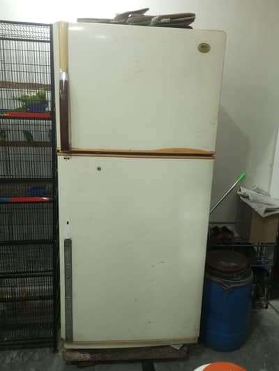 Lg fridge urgent sale