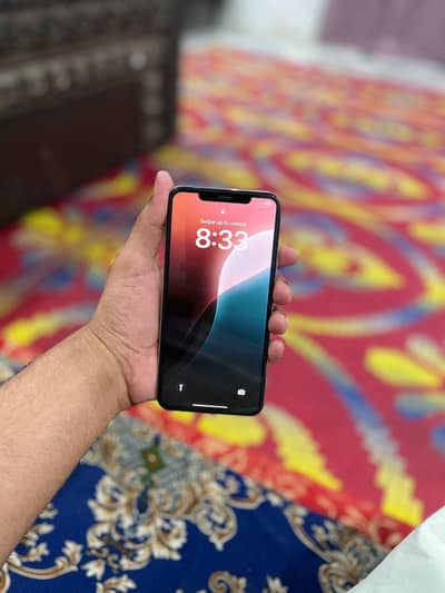 Xs max 256