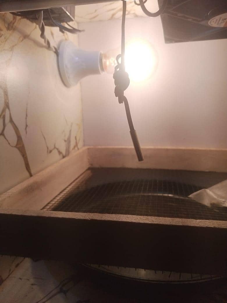 incubator 2