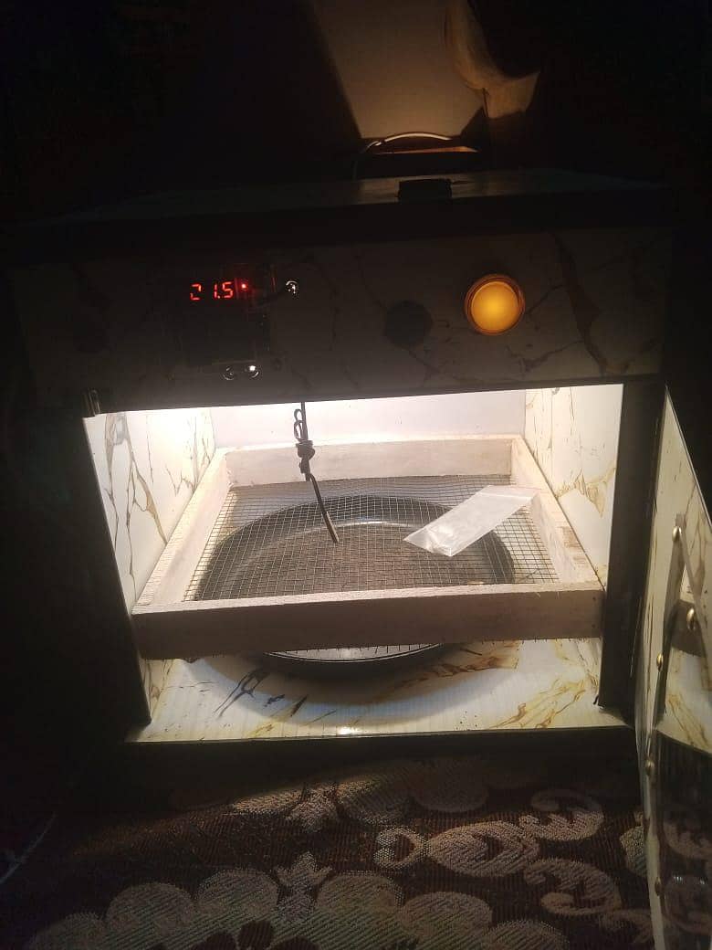 incubator 3