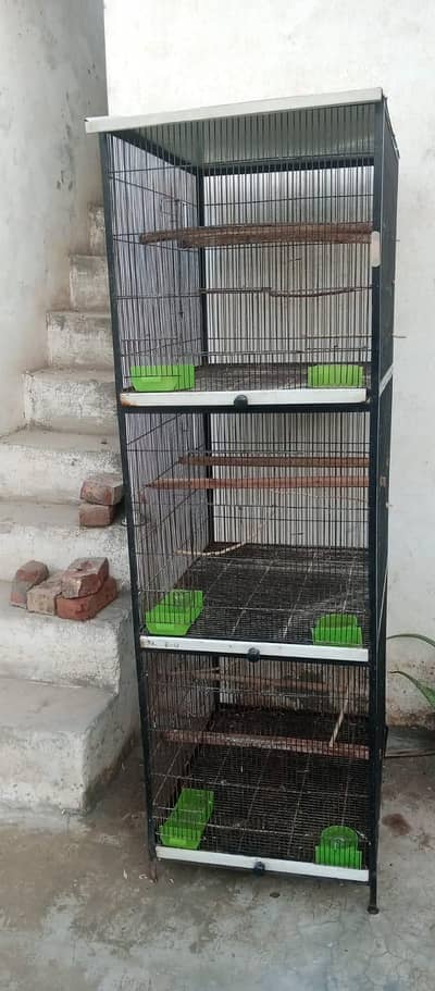 Iron Cage