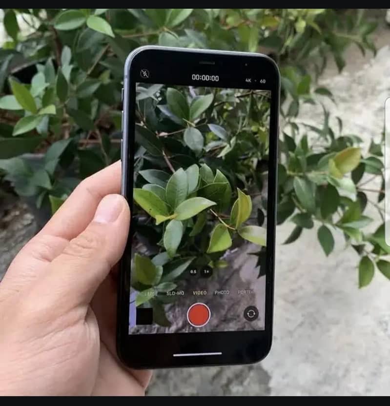IPHONE 11 1