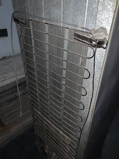 RAF conditions arjant sel
