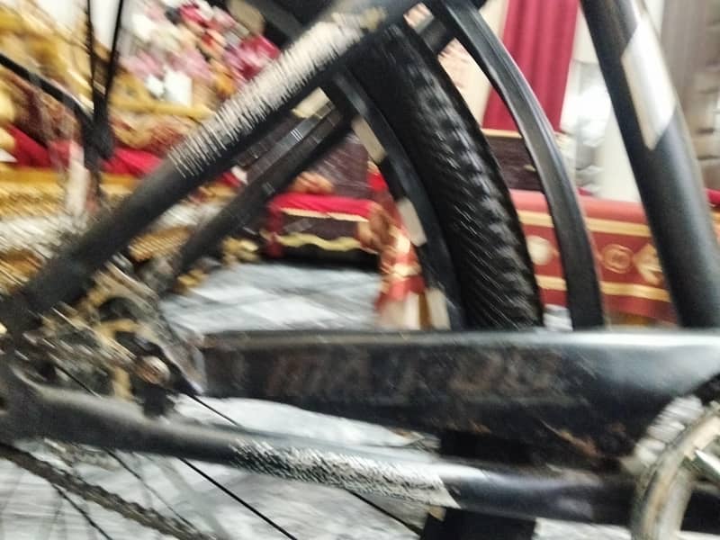 Morgan cycle 4