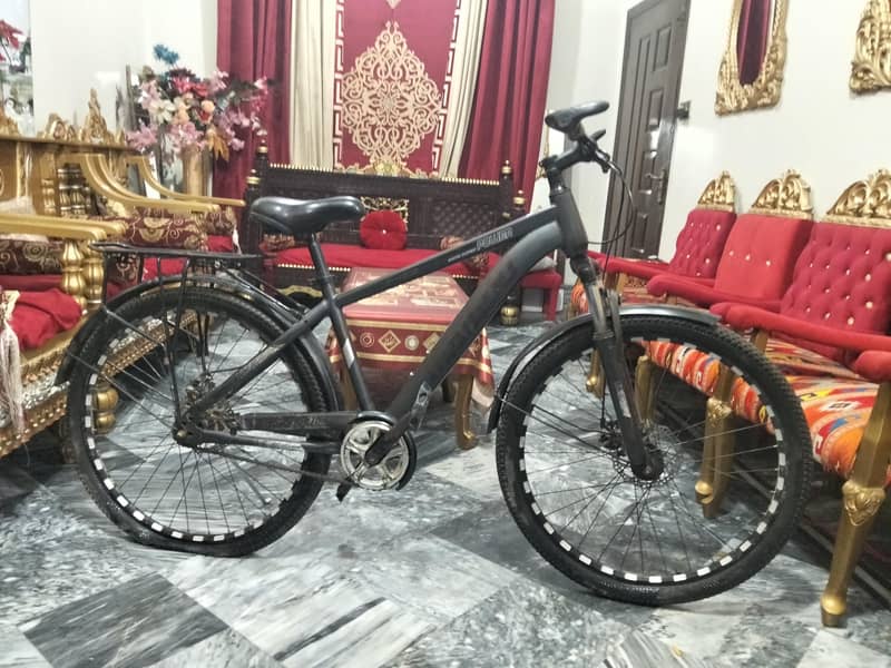 Morgan cycle 13