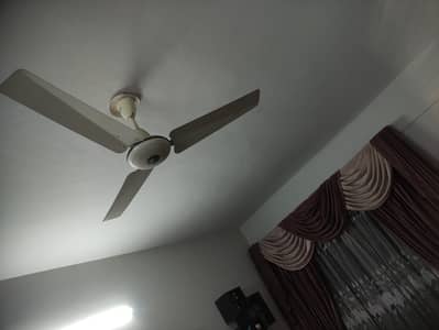Pak Fan 56 inches in Great Condition.