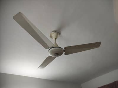 Pak Fan 56 inches in Great Condition
