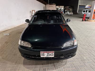 Civic Dolphin