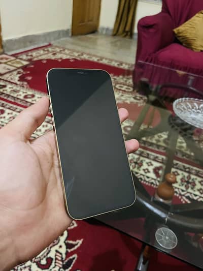Iphone 12 pro max iCloud lock