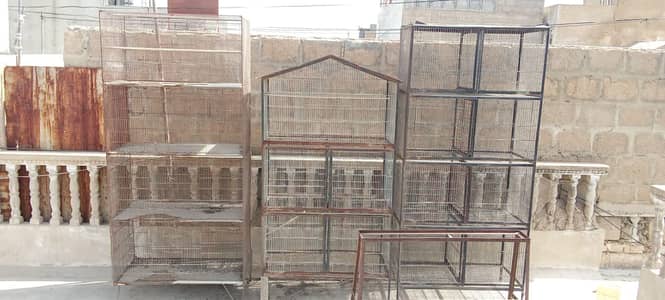 Birds cage for sell in good price