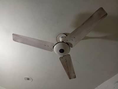 Used Fan