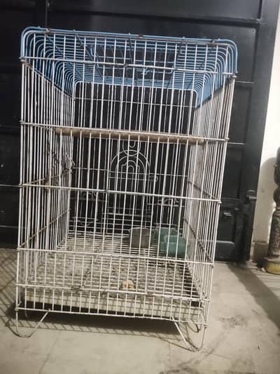 cage for parrots grey parrot raw parrot green parrot