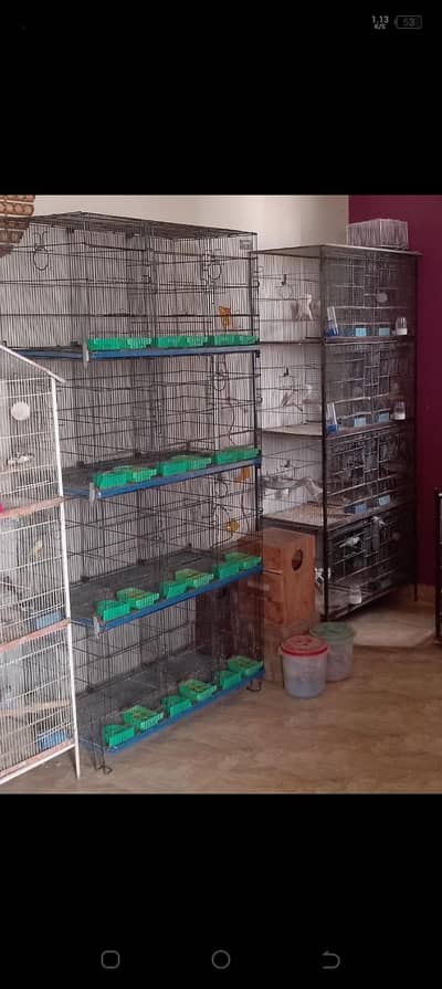 folding cages