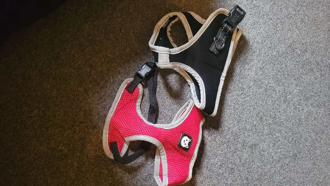 dog and cat body harness accessories clothing cat and dog accessories