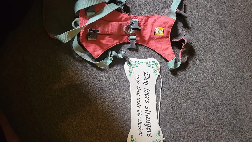 dog and cat body harness accessories clothing cat and dog accessories — photo 2